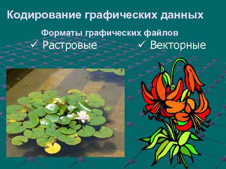 Кодирование графических данных Форматы графических файлов ü Растровые ü Векторные 