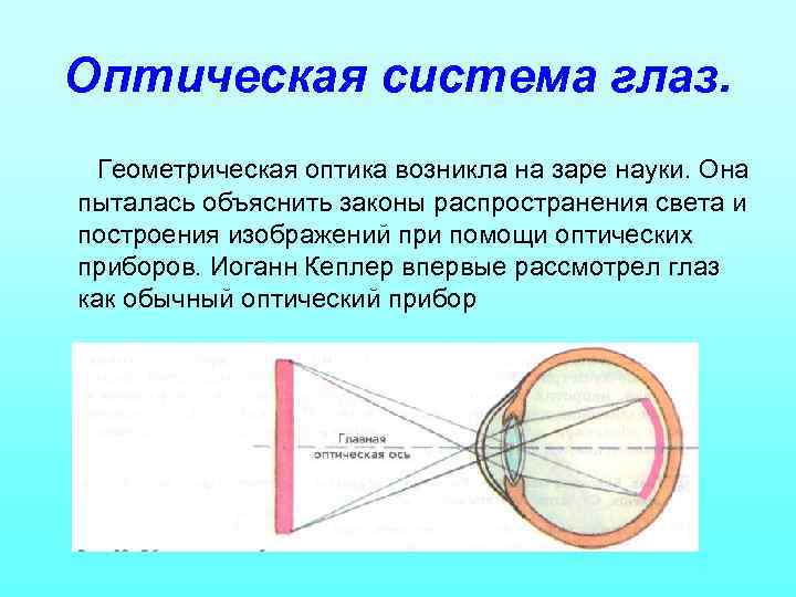 Оптическая система глаза создает изображение какое