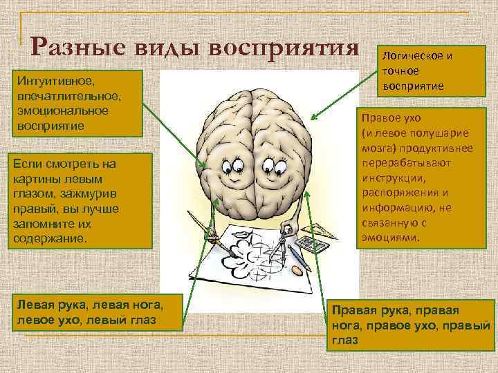 Разные виды восприятия Интуитивное, впечатлительное, эмоциональное восприятие Если смотреть на картины левым глазом, зажмурив