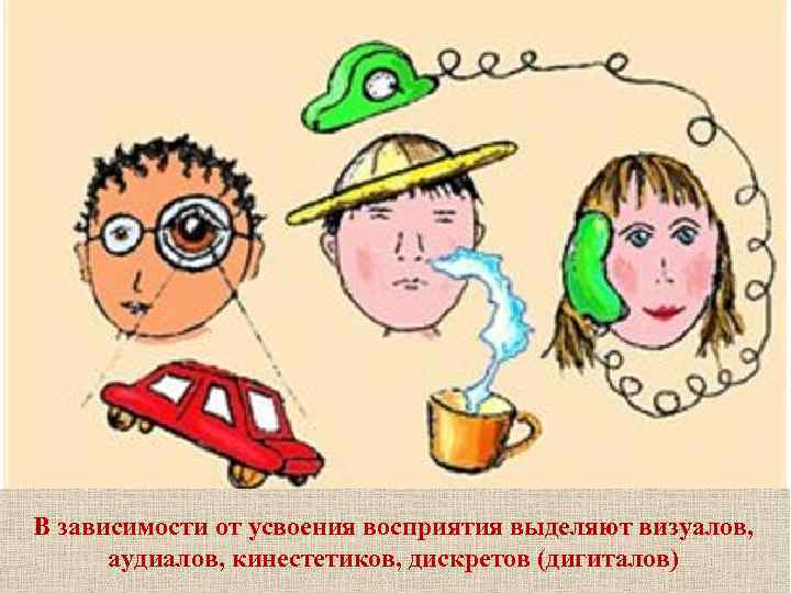 В зависимости от усвоения восприятия выделяют визуалов, аудиалов, кинестетиков, дискретов (дигиталов) 