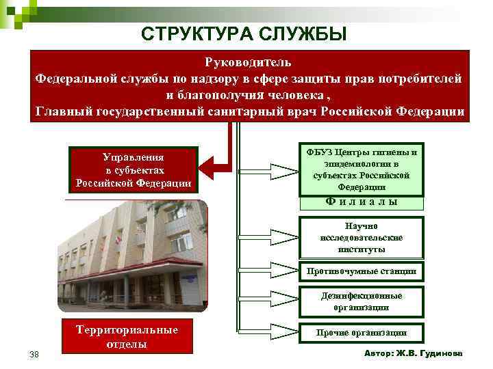 Структура федеральной службы