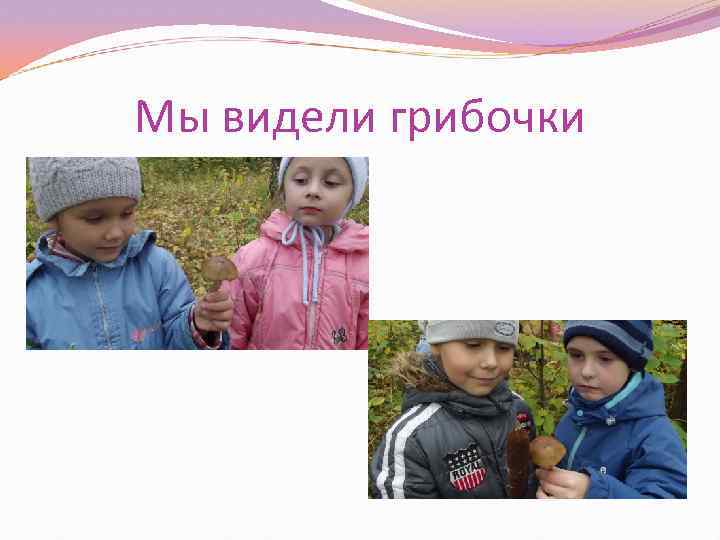 Мы видели грибочки 