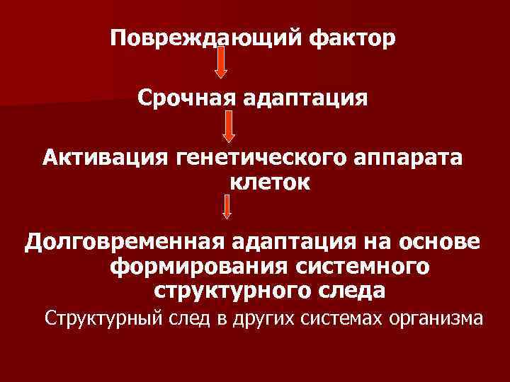 Повреждающий фактор Срочная адаптация Активация генетического аппарата клеток Долговременная адаптация на основе формирования системного