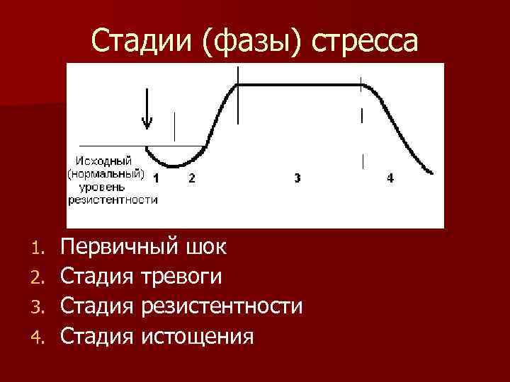 Стадии (фазы) стресса 1. 2. 3. 4. Первичный шок Стадия тревоги Стадия резистентности Стадия