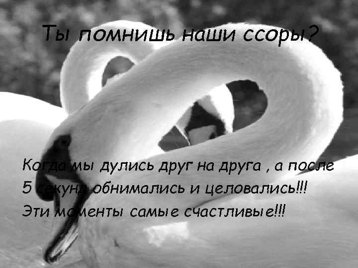 Ты помнишь наши ссоры? Когда мы дулись друг на друга , а после 5