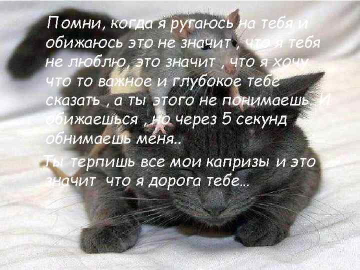 Помни, когда я ругаюсь на тебя и обижаюсь это не значит , что я