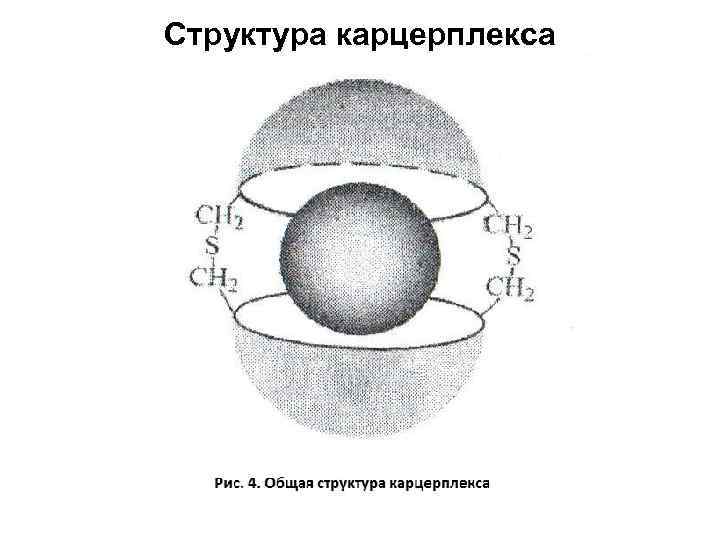 Структура карцерплекса 