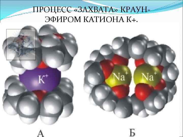 ПРОЦЕСС «ЗАХВАТА» КРАУНЭФИРОМ КАТИОНА К+. 
