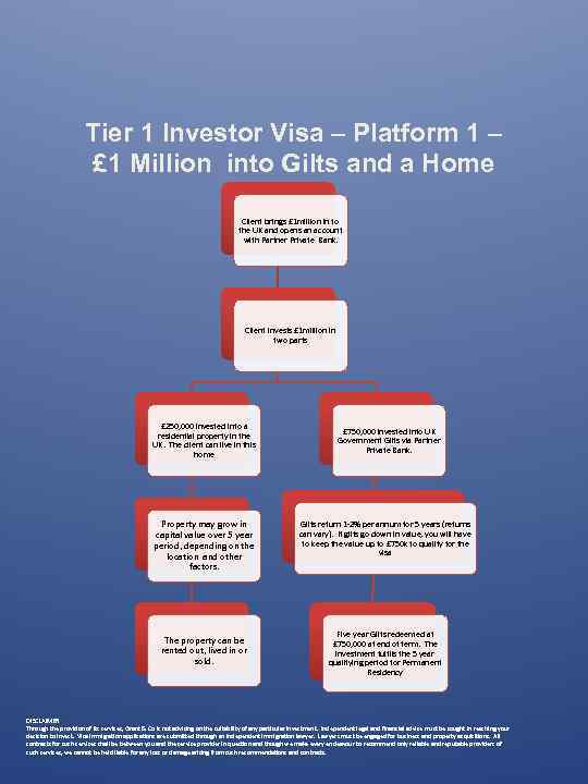 Tier 1 Investor Visa – Platform 1 – £ 1 Million into Gilts and