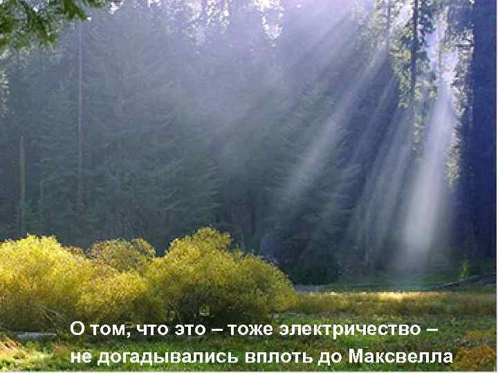 О том, что это – тоже электричество – не догадывались вплоть до Максвелла 
