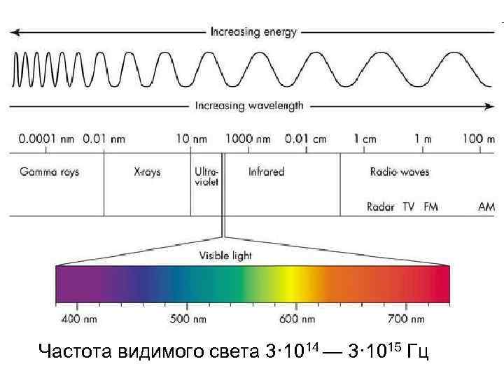 Частота видимого света 3· 1014 — 3· 1015 Гц 