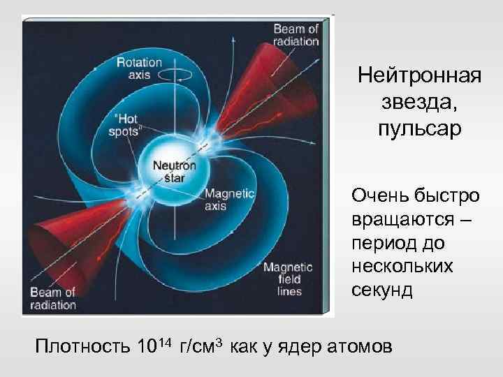 Нейтронная звезда, пульсар Очень быстро вращаются – период до нескольких секунд Плотность 1014 г/см