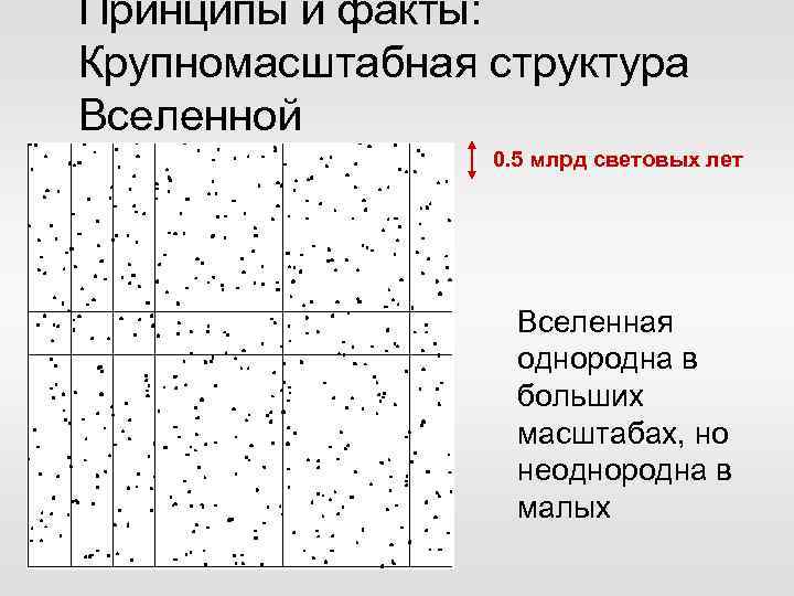 Принципы и факты: Крупномасштабная структура Вселенной 0. 5 млрд световых лет Вселенная однородна в