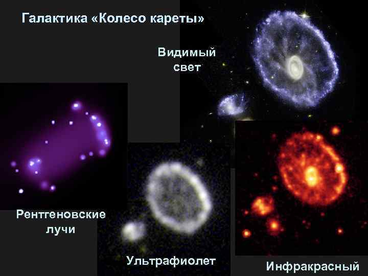 Галактика «Колесо кареты» Видимый свет Рентгеновские лучи Ультрафиолет Инфракрасный 