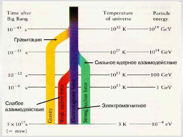 Гравитация Сильное ядерное взаимодействие Слабое взаимодействие Электромагнитное 