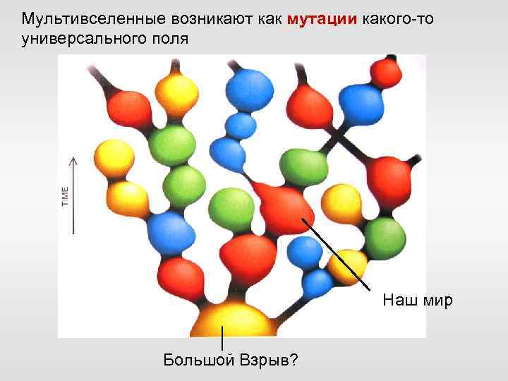 Мультивселенные возникают как мутации какого-то универсального поля Наш мир Большой Взрыв? 