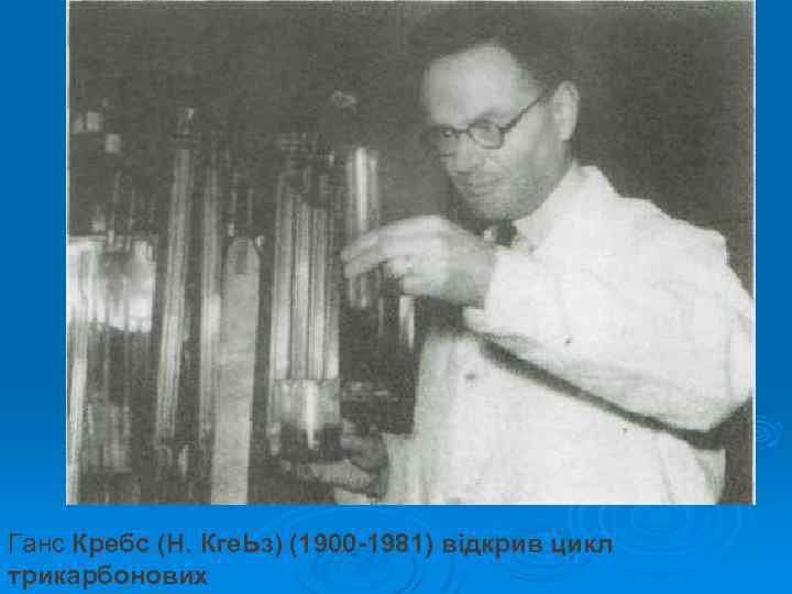Ганс Кребс (Н. Кге. Ьз) (1900 -1981) відкрив цикл трикарбонових 