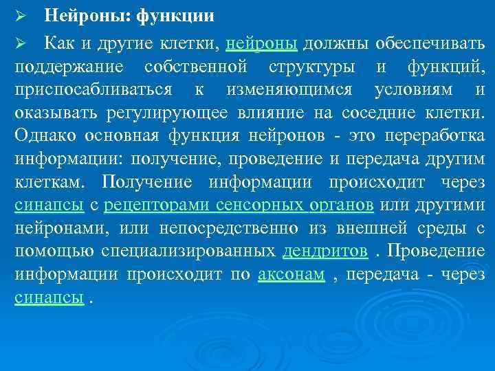 Нейроны: функции Ø Как и другие клетки, нейроны должны обеспечивать поддержание собственной структуры и