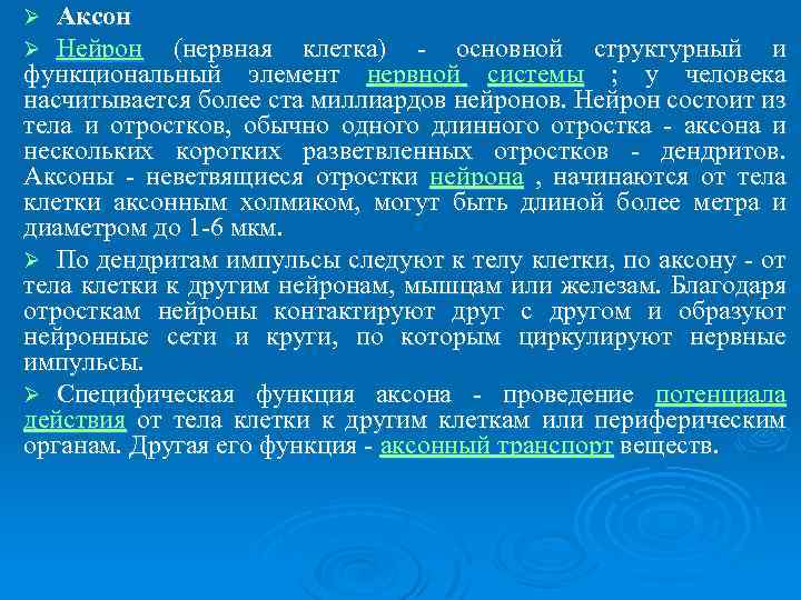 Аксон Нейрон (нервная клетка) основной структурный и функциональный элемент нервной системы ; у человека