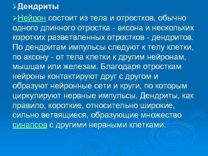 ØДендриты ØНейрон состоит из тела и отростков, обычно одного длинного отростка аксона и нескольких