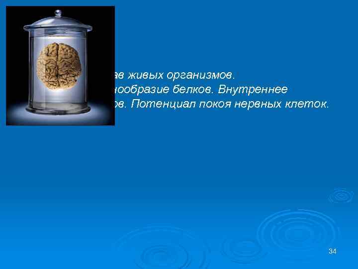 Химический состав живых организмов. Структура и разнообразие белков. Внутреннее строение нейронов. Потенциал покоя нервных