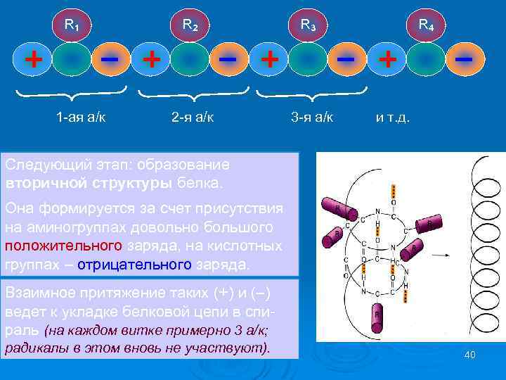 R 1 1 ая а/к R 2 2 я а/к R 3 3 я