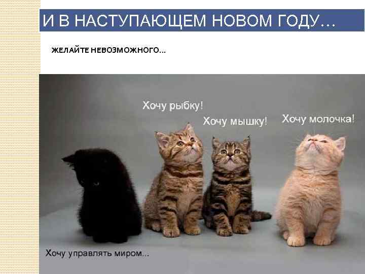 И В НАСТУПАЮЩЕМ НОВОМ ГОДУ… ЖЕЛАЙТЕ НЕВОЗМОЖНОГО. . . 