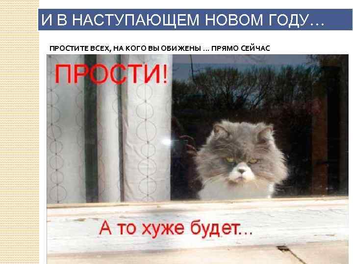 И В НАСТУПАЮЩЕМ НОВОМ ГОДУ… ПРОСТИТЕ ВСЕХ, НА КОГО ВЫ ОБИЖЕНЫ. . . ПРЯМО