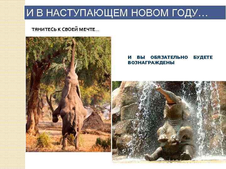 И В НАСТУПАЮЩЕМ НОВОМ ГОДУ… ТЯНИТЕСЬ К СВОЕЙ МЕЧТЕ… И ВЫ ОБЯЗАТЕЛЬНО ВОЗНАГРАЖДЕНЫ БУДЕТЕ