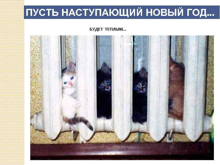 ПУСТЬ НАСТУПАЮЩИЙ НОВЫЙ ГОД. . . БУДЕТ ТЕПЛЫМ. . . 