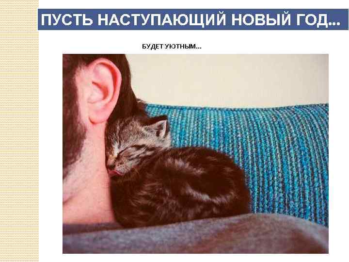 ПУСТЬ НАСТУПАЮЩИЙ НОВЫЙ ГОД. . . БУДЕТ УЮТНЫМ. . . 