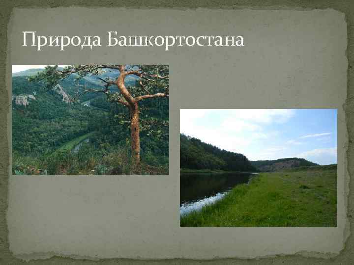 Природа Башкортостана 