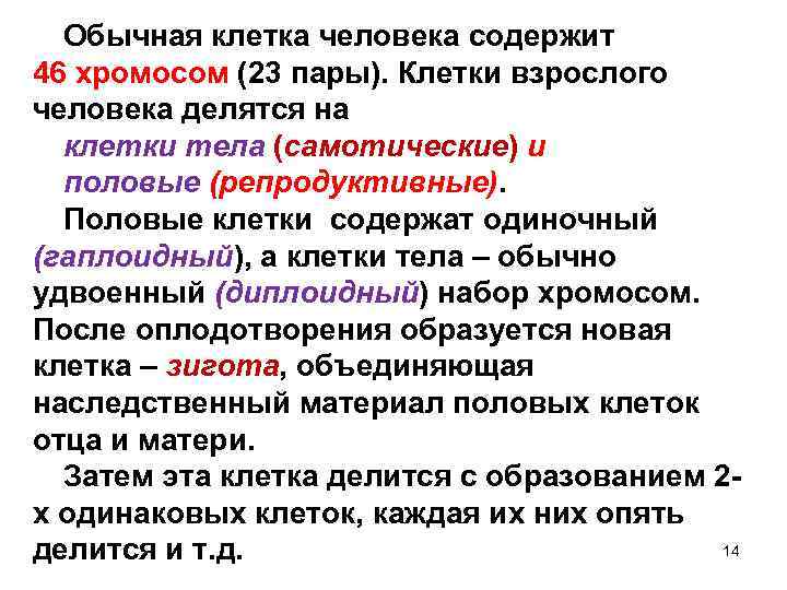 Обычная клетка человека содержит 46 хромосом (23 пары). Клетки взрослого человека делятся на клетки