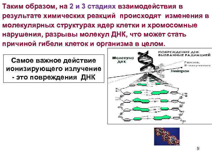 Таким образом, на 2 и 3 стадиях взаимодействия в результате химических реакций происходят изменения