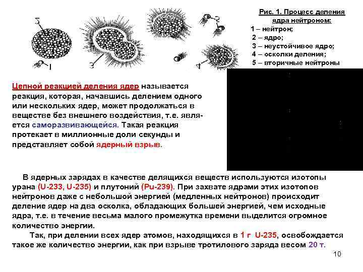  Рис. 1. Процесс деления ядра нейтроном: 1 – нейтрон; 2 – ядро; 3