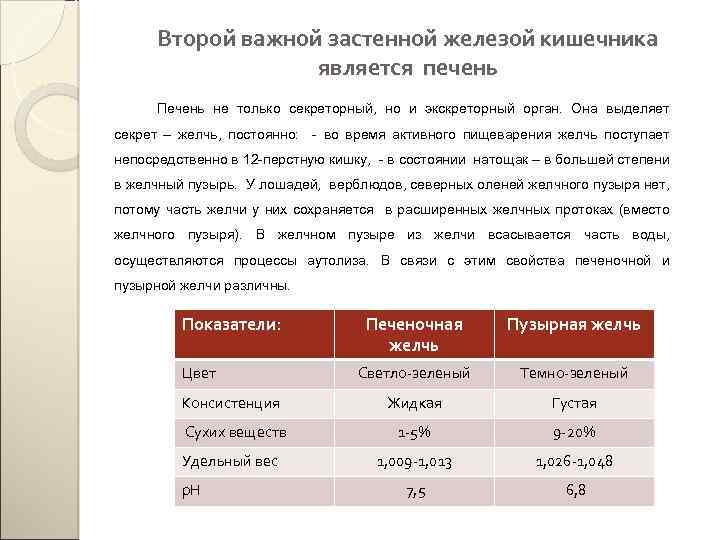 Второй важной застенной железой кишечника является печень Печень не только секреторный, но и экскреторный