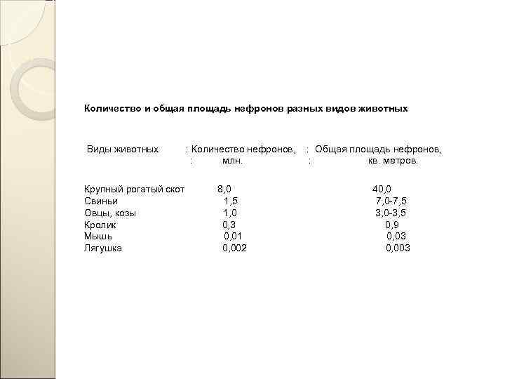 Количество и общая площадь нефронов разных видов животных Виды животных Крупный рогатый скот Свиньи