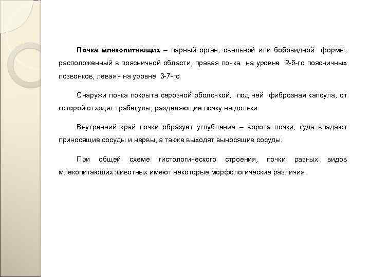 Почка млекопитающих – парный орган, овальной или бобовидной формы, расположенный в поясничной области, правая