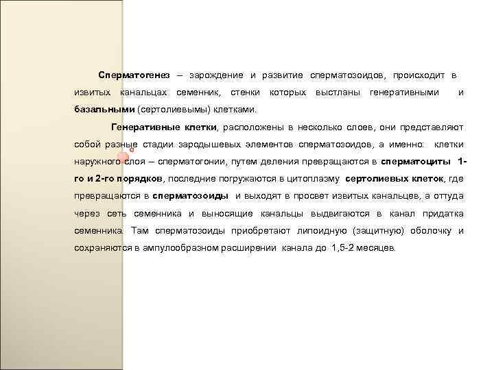Сперматогенез – зарождение и развитие сперматозоидов, происходит в извитых канальцах семенник, стенки которых выстланы