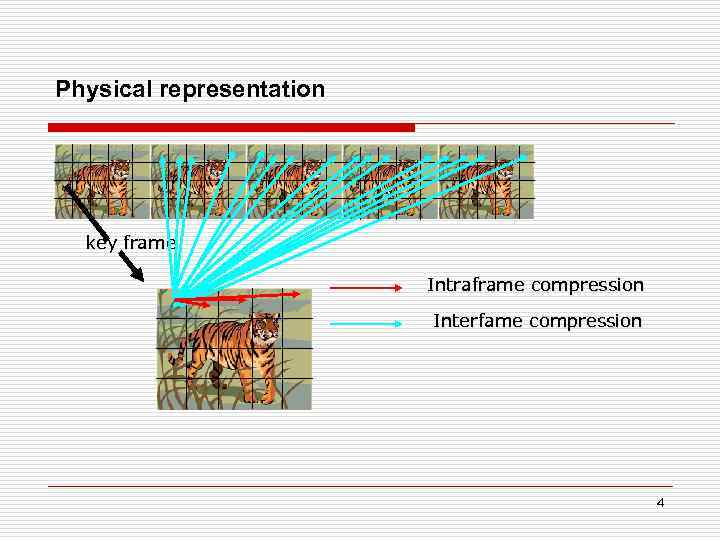 Physical representation key frame Intraframe compression Interfame compression 4 