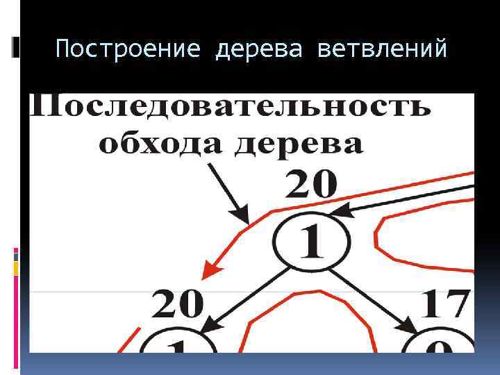 Построение дерева ветвлений 