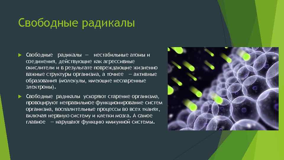 Свободные радикалы — нестабильные атомы и соединения, действующие как агрессивные окислители и в результате