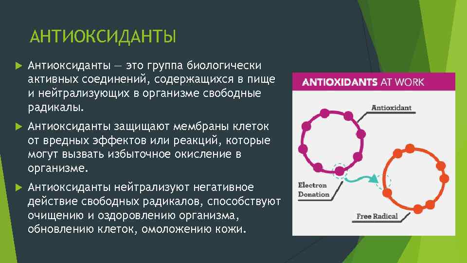 АНТИОКСИДАНТЫ Антиоксиданты — это группа биологически активных соединений, содержащихся в пище и нейтрализующих в