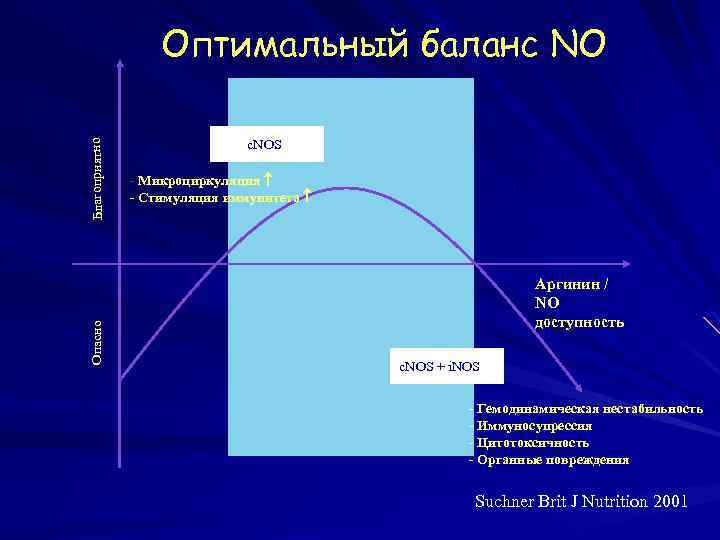 Опасно Благоприятно Oптимальный баланс NO c. NOS - Микроциркуляция - Стимуляция иммунитета Aргинин /