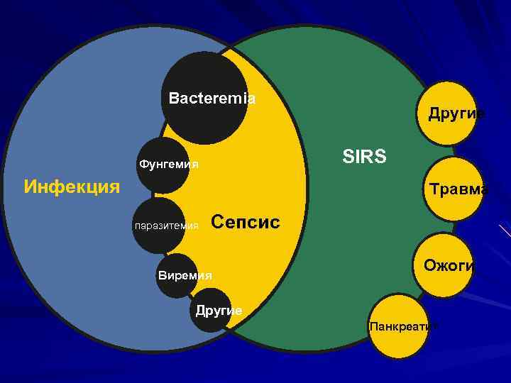 Bacteremia Другие SIRS Фунгемия Инфекция Травма паразитемия Сепсис Виремия Ожоги Другие Панкреатит 