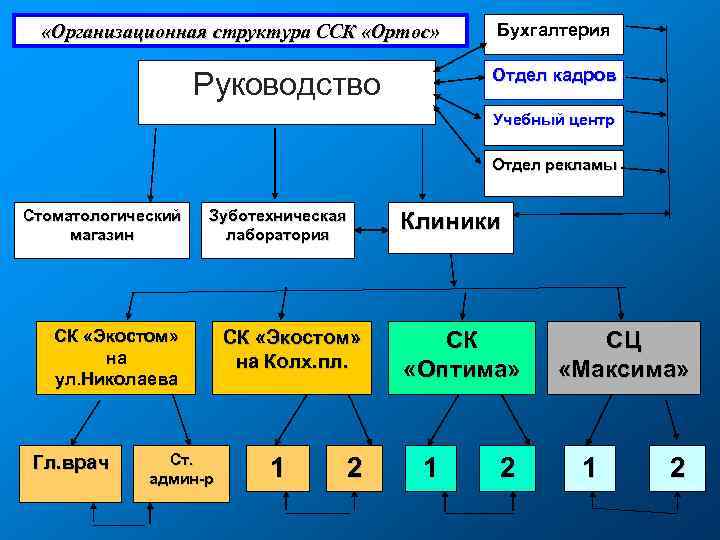 Соседи отдел кадров. Структура студенческого спортивного клуба. Организационная структура студенческого спортивного клуба. Структура ССК. Структура отдела рекламы.