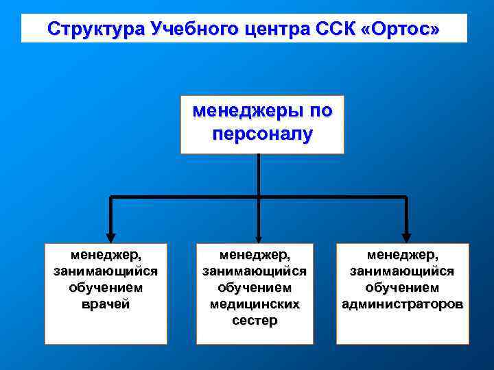Структура Учебного центра ССК «Ортос» менеджеры по персоналу менеджер, занимающийся обучением врачей менеджер, занимающийся