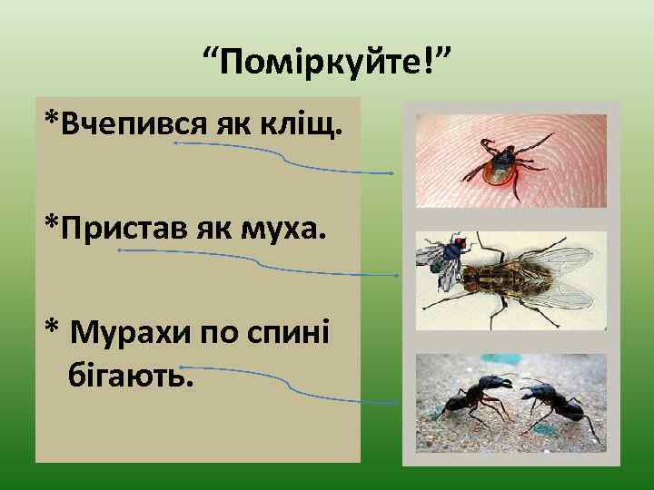 “Поміркуйте!” *Вчепився як кліщ. *Пристав як муха. * Мурахи по спині бігають. 