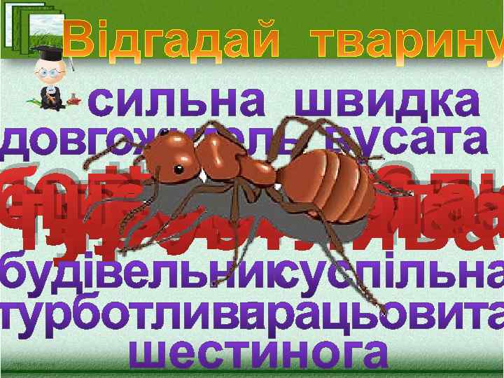 швидка довгожитель сильна будівельник шестинога працьовита суспільна вусата турботлива 