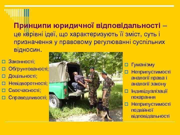 Принципи юридичної відповідальності – це керівні ідеї, що характеризують її зміст, суть і призначення